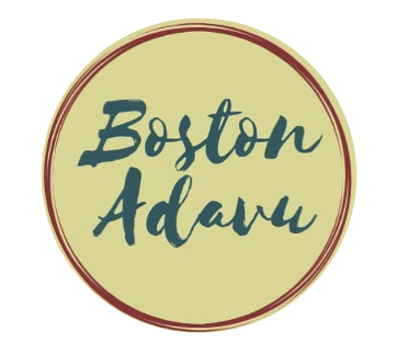 adavu_logo.png